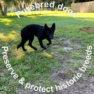 Meet your Posher, Becky